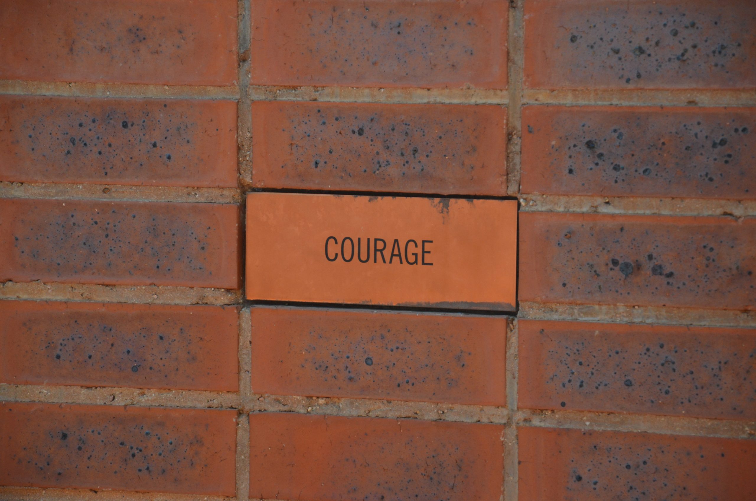 Act of courage: Bold Steps: Embracing Acts of Courage in Everyday