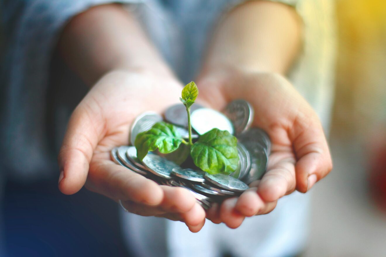 Image of a person with cupped hands containing coins and plant growing from it. Used for story headlined How brands can grow by rethinking productivity
